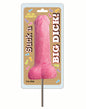 Suck a BIG DICK Lollipop
