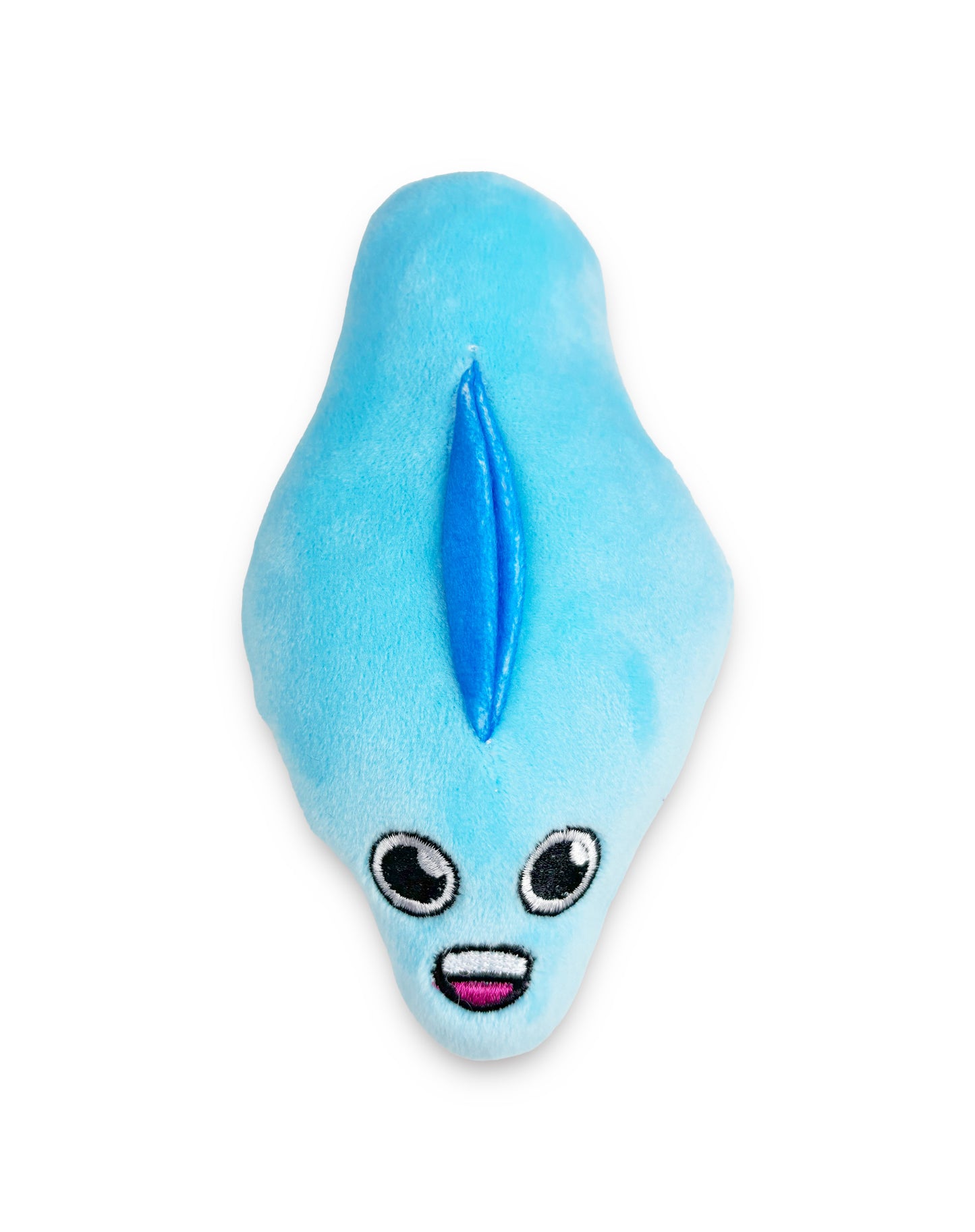 Bag of Cunts Plushy Pillow Set