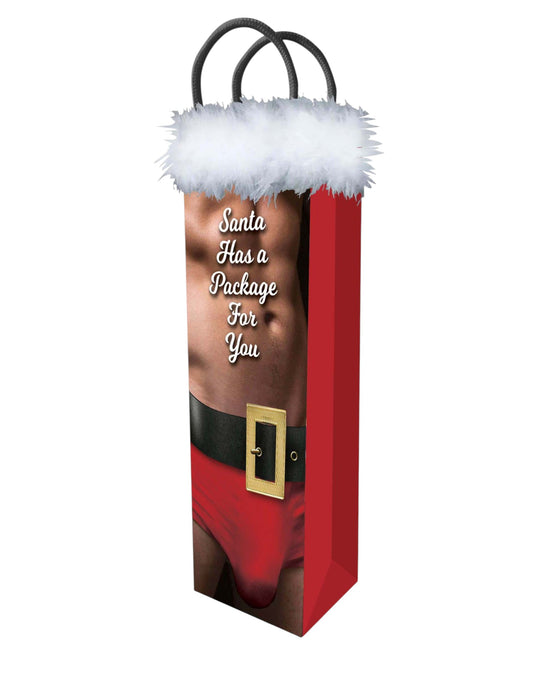 Holiday Santa Has a Package for You Gift Bag
